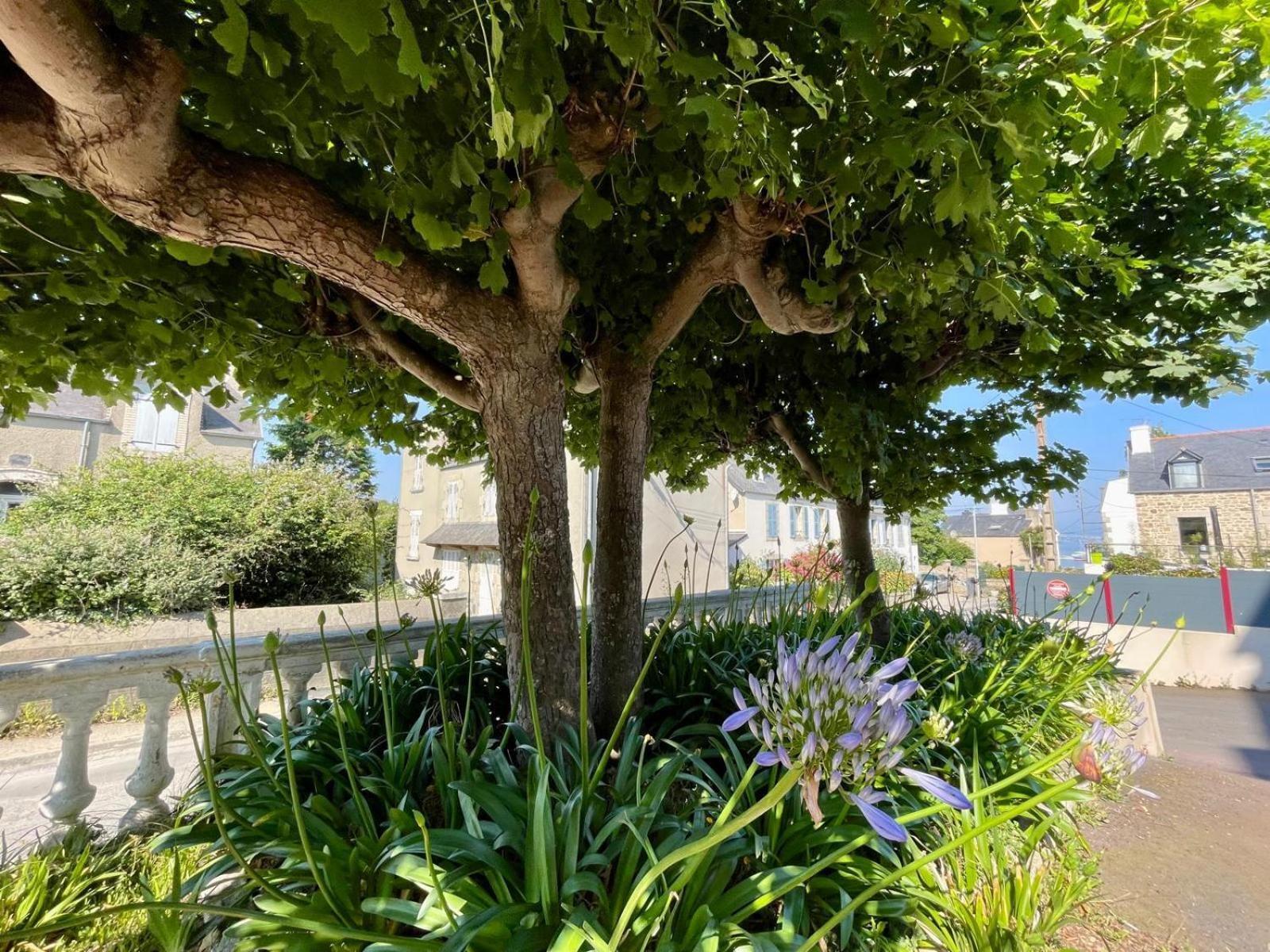 Residence Des Bains Carantec Εξωτερικό φωτογραφία